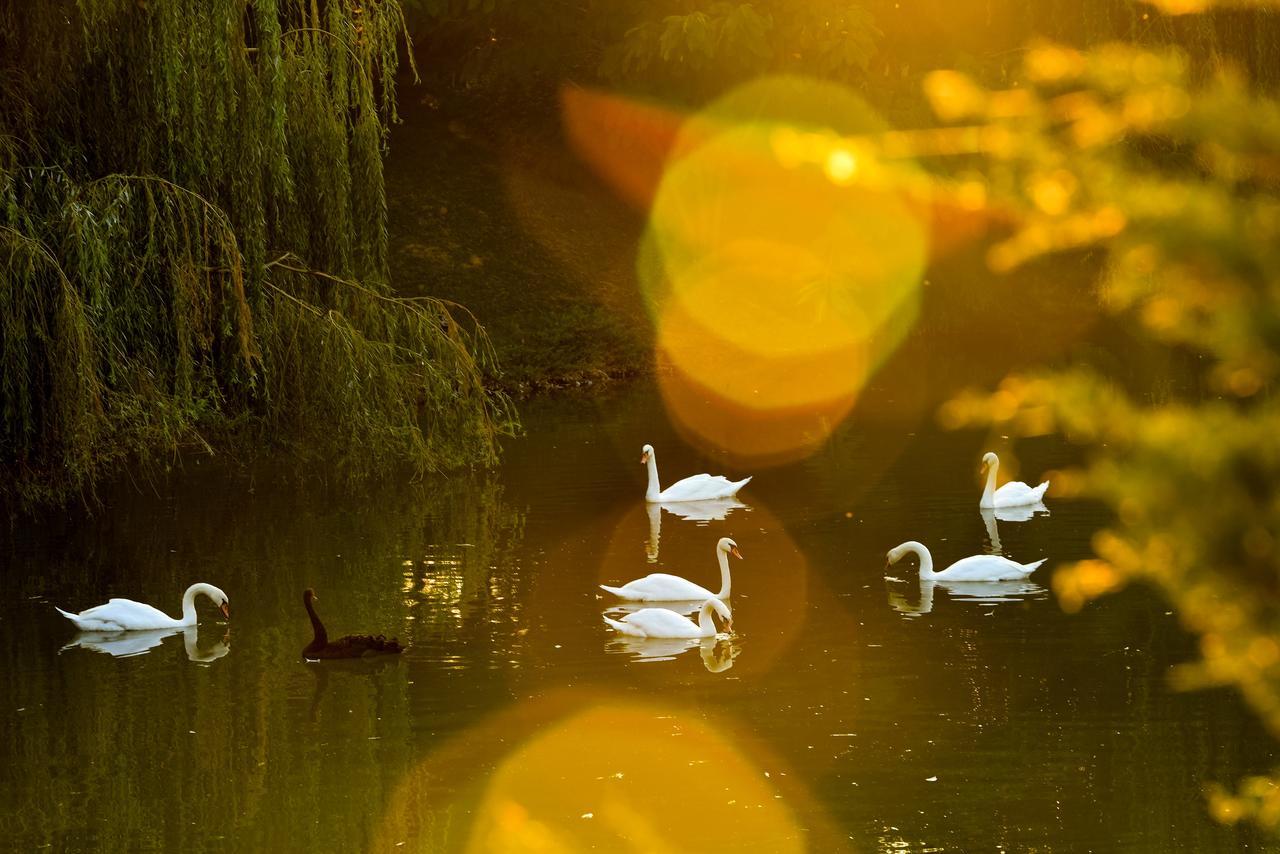 Lacul Verde Resort Ploiesti Luaran gambar