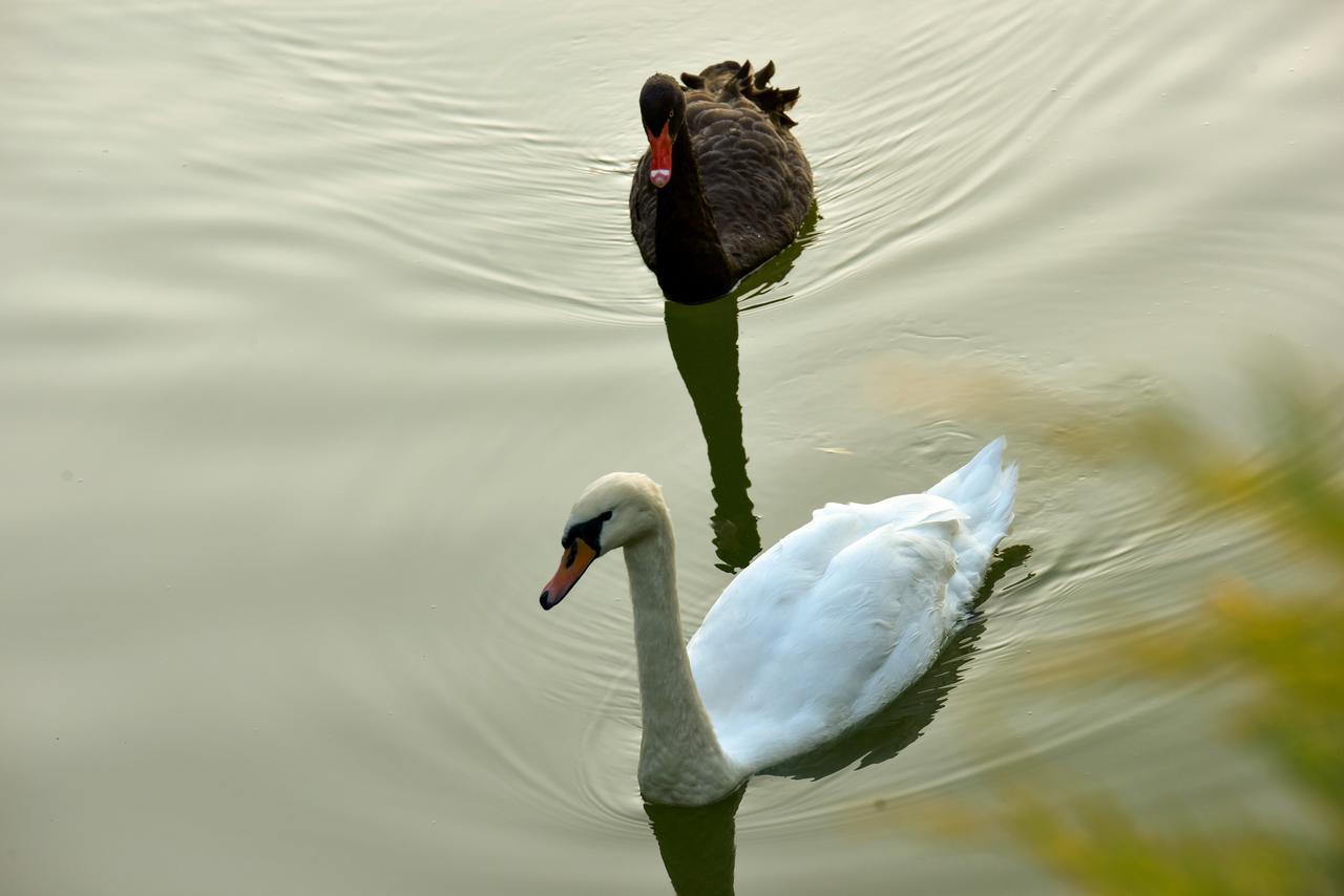 Lacul Verde Resort Ploiesti Luaran gambar
